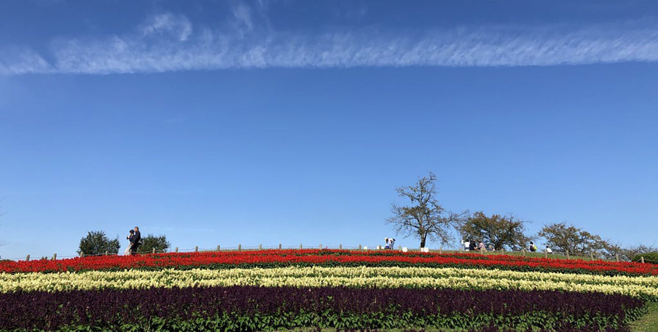 広陵町のカフェ earth-colors 県営馬見丘陵公園の青空